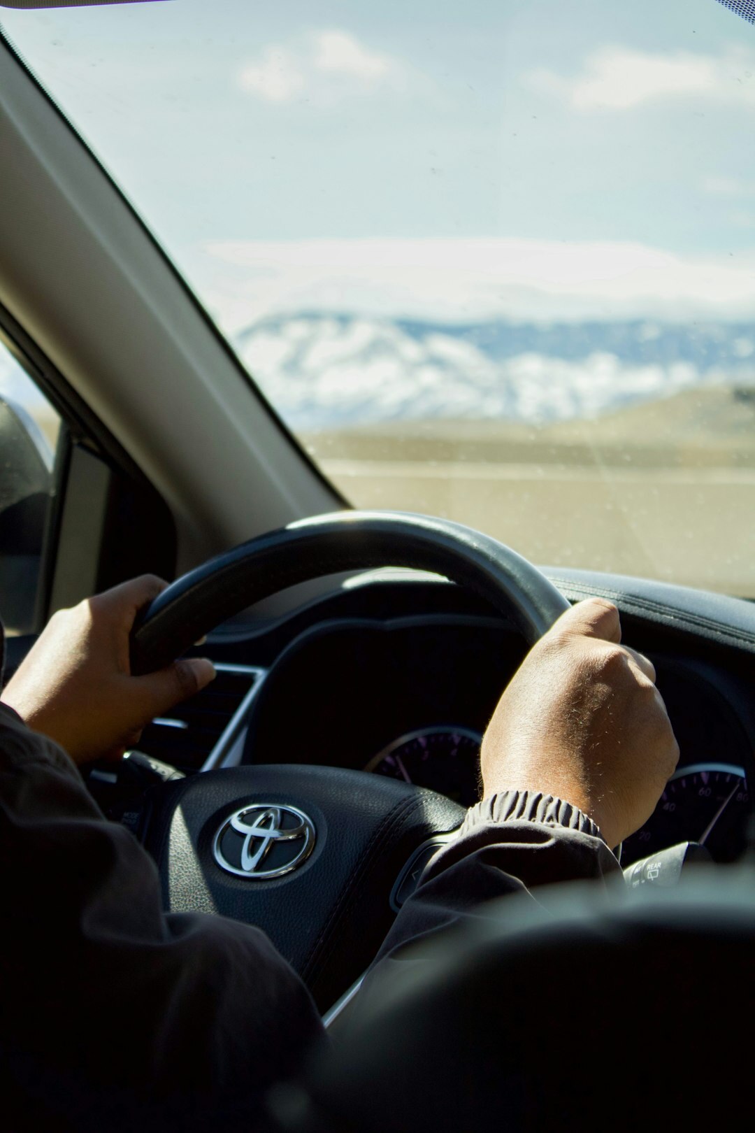 driver hands on steering wheel